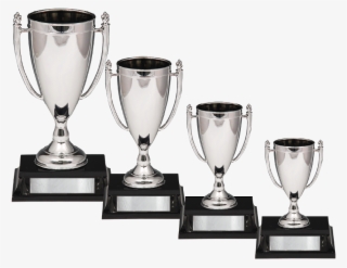 Ad Budget Silver Cups 121 Series - Trophy #5801769