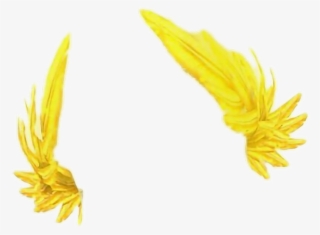 Report Abuse - Snapchat #5803103