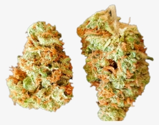 Primaryapp - Rock #5803188