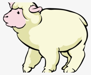Lamb Clipart Cross - Sheep Cartoon Png #5803402