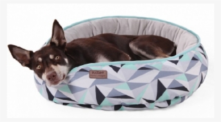 Vetopia Online Store #5803403