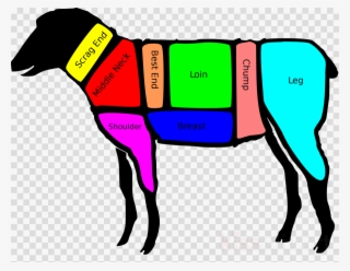 Lamb Shank On Lamb Clipart Sheep Lamb And Mutton Shank #5803634