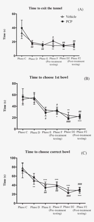 Time To Exit The Tunnel , Choose The 1st (b) And Correct - Diagram #5804553