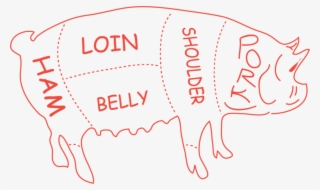 Bundles - Bratwurst #5804837