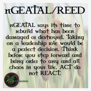 Reed - Number #5809554