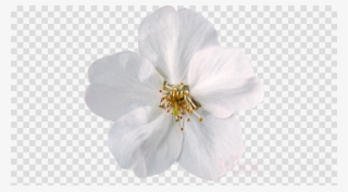 What Is The Flower Emoji On Fb Flowers Healthy - South Indian Thali Illustration #5810010