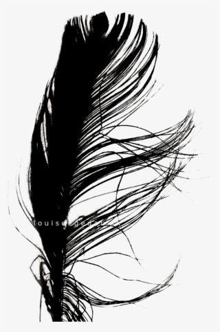 Jpg Transparent Stock Interesting Drawing Feather - Design #5810749