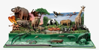 Leave A Reply Cancel Reply - Wildlife Reserves Singapore #5811135