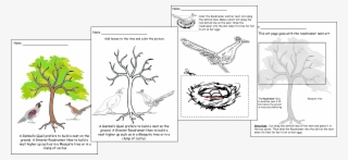 Black And White Drawings About The Greater Roadrunner - Cartoon #5814139