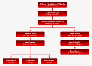 Openguard Lineage - Apex Martial Arts Center #5815069