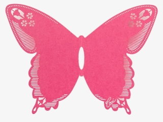 Butterfly #5815850 Butterfly #5815850