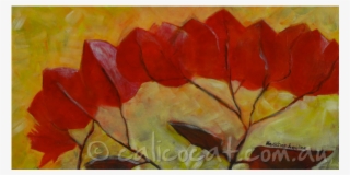 Bougainvillea #5815964