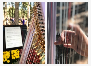 Here Are A Few Music Samples - Art #5816387