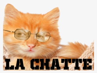 Larry Silverstein La Chatte #5818226