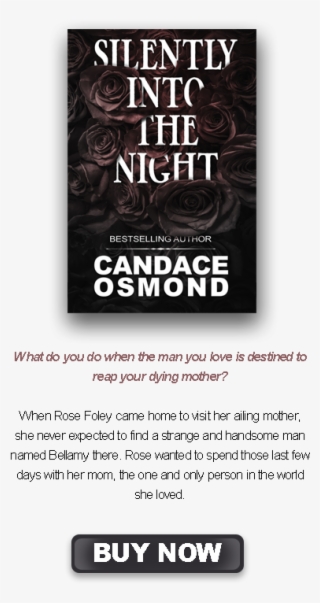 Sitn Write Up - Silently Into The Night Ebook #5818395