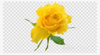 Yellow Roses Png Clipart Clip Art - Love Png Tattoo #5819476 Yellow Roses Png Clipart Clip Art - Love Png Tattoo #5819476