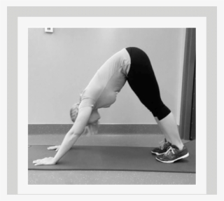 Traditional Pike - Press Up #5821230