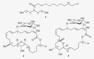 Download - Structure #5821763