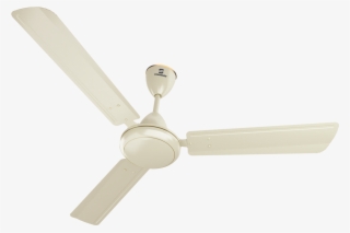 Sailor Bianco - Havells Xp 390 1400 Mm Ceiling Fan #5825472