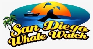 San Diego Whale Watch #5826215 San Diego Whale Watch #5826215