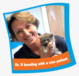 Renee Rucinsky, Dvm, Dipl - Domestic Short-haired Cat #5826383