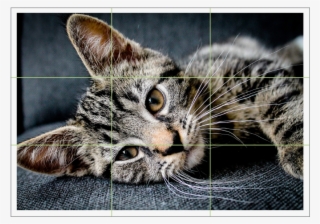 Camera Shake Is One Of The Biggest Bugbears For Photographers #5826438