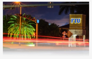 Background - Attalea Speciosa #5827139