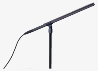 Microphone Rental Miami And - Rifle #5830954