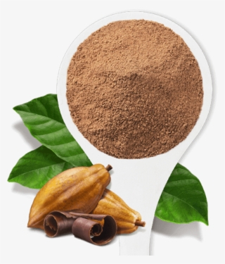 Globe For The Highest-quality Organic Superfoods To - Corporate Identity #5833001