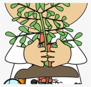 Plant Science Cliparts - Metabólitos Secundários Em Plantas #5835466 Plant Science Cliparts - Metabólitos Secundários Em Plantas #5835466