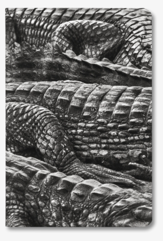 Blank Notebook, Pocket Size - Sebastião Salgado #5835995