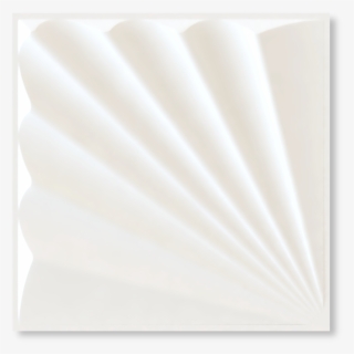 Conch - Paper #5836304