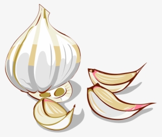 Garlic, Cloves, Clove, Vegetable, Organic, Spice - Garlic Clipart #5839121