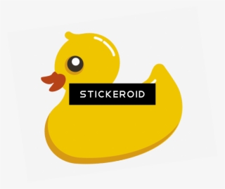 بطة Png Clipart بطة - Duck #5840120