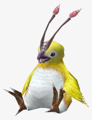 Geze8p-58 - Cockatiel #5841402