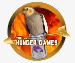 Share This - - Cockatiel #5841620