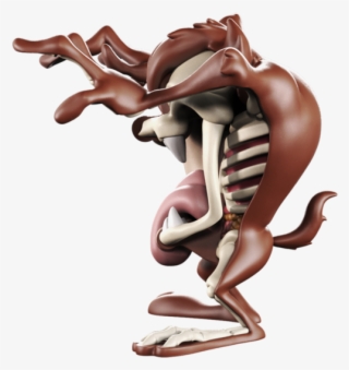 Larger / More Photos - Tasmanian Devil #5843344