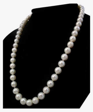 This Strand Of Pearls Measures 18 Inches Long And Is #5844088
