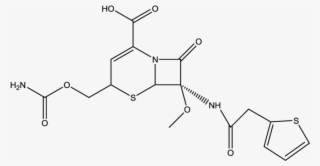 Structure Of Cephamycin Molecule - Structure #5845848