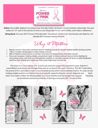 Brighton Collectibles 2000 New Jersey - South Jersey Breast Cancer #5847461