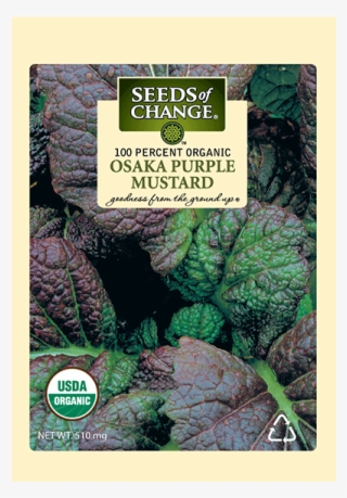 Organic Osaka Purple Mustard Seeds - Seeds Of Change 21076 Organic Zesty Cln Quinoa Blend #5847681