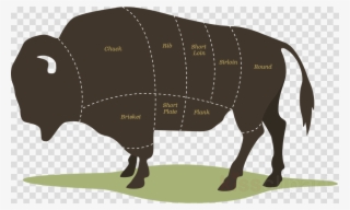 Bison Meat Cuts Clipart American Bison Steak Meat - North Dakota Farm Bison #5848003
