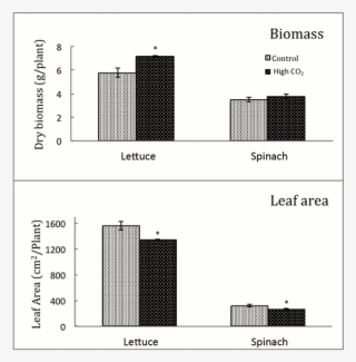 Biomass Accumulation And Leaf Area In Lettuce And Spinach - Lettuce #5848063