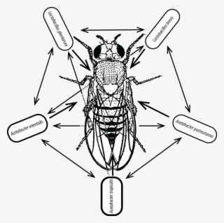Current Projects - Superman #5848573
