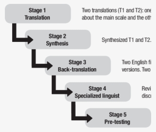 Graphic Representing Stages Of The Cross-cultural Adaptation - Cross Cultural Stages #5849071