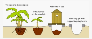 Open - Arborloo Toilet #5850803