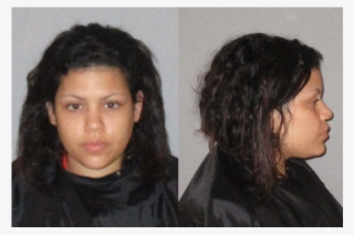 Palm Coast Woman Arrested On Three Counts Of Animal - Palm Coast Observer #5852207