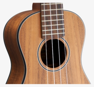 Headstock - Acoustic Guitar #5852318