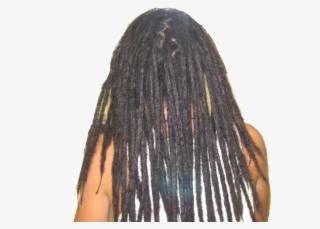 Dreadlocks #5853008