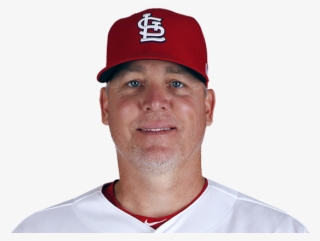 Bill - Cardinals #5853121